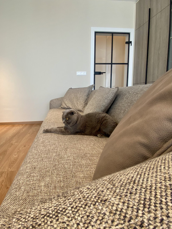 Шпакловани и боядисани стени с латекс след цялостен ремонт на апартамент в София